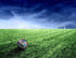 HOLOWIN Holographic Luminous Soccer Ball, Size 5 for Night Games & Training, Glowing Reflective Toy Gifts