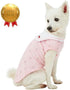 Blueberry Pet Summer Vacation Beach Cotton Dog T-Shirts, 2 Pack, Sea Lover Girl Power Shirts, Tank Top Clothes, Back