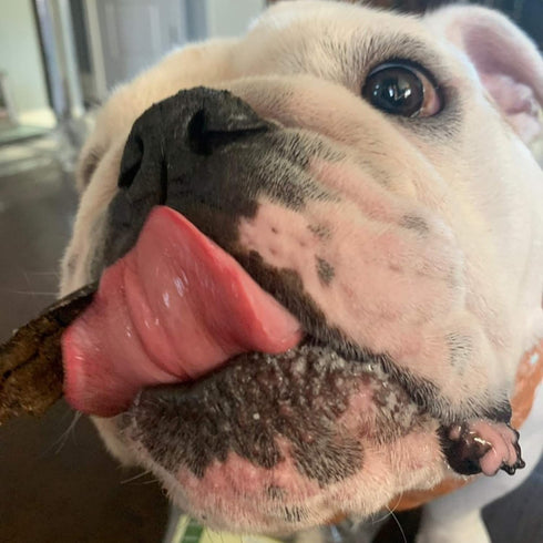 Tail Mix Dog Treats Made in USA All Natural Beef Bites 1 Ingredient Grain Free Assortment Beef Lung, Trachea and Spleen