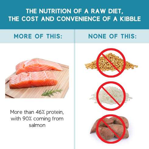 Ketona Salmon Recipe Adult Dry Dog Food, Natural, Low Carb (5%), High Protein (46%), Grain-Free, 4.2 lb