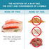Ketona Salmon Recipe Adult Dry Dog Food, Natural, Low Carb (5%), High Protein (46%), Grain-Free, 4.2 lb