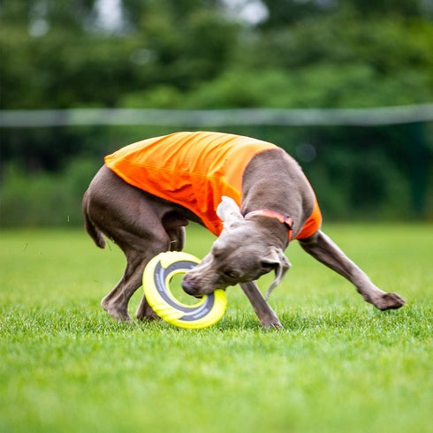 SKIPDAWG Interactive Dog Tug Toy, Dog Flying Disc Water Toy, Non-Toxic Light TPR/Nylon Fabric, 9 Inches Diameter