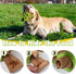 Dog Puzzles, 3 Pack Interactive Snuffle Toys for Dogs, Slow Eating, Natural Foraging Skills, Relieve Boredom