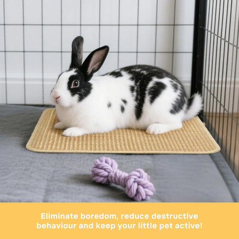 Tierecare 3-Pack (15.7"x11.8") Rabbit Scratching Pads Natural Sisal Bunny Scratch Mat for Claw & Teeth Care, Small