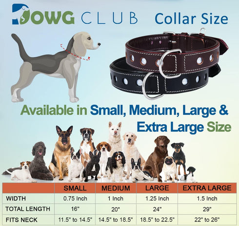 Reflective Genuine Leather Dog Collar, Stellar Series, Soft Padding, Handmade, Safe for Night Walking, XL (Fit Neck