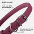 CollarDirect Rolled Leather Dog Collar, Soft Padded Round Puppy Collar, Handmade Genuine Leather in 13 Colors (8-11