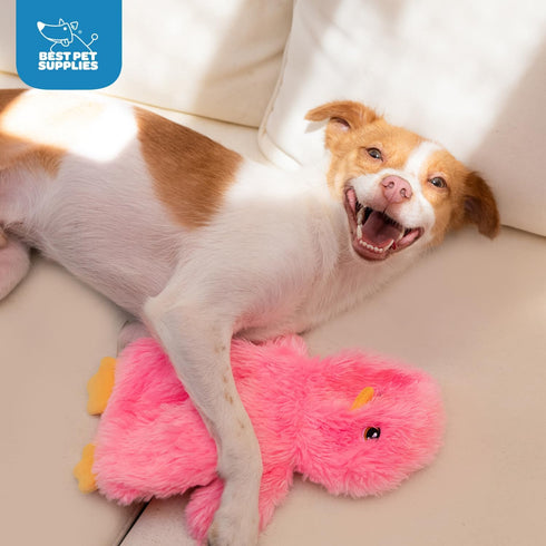 Best Pet Supplies Interactive Squeaky Dog Chew Toy, Ideal Dog Toys for Chewers, Small, Medium & Large Dogs, and Fetch
