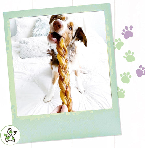 Nature Gnaws Braided Bully Sticks for Dogs, 11-12" (5 Count), Long Lasting for Aggressive Chewers and Large Dogs