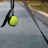 Dog Toy Ball Holder - Hands-Free Leash Attachment for All Breeds, Fits Standard Tennis Balls (Black)