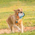 Squeaky Dog Toys 3 Pack, Soft Tough Plush Chew Toys, Durable Pet Toys for Small, Medium, Large Dogs to Reduce Boredom