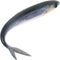 HEANUJJ Artificial Sinking Tuna Lure Soft Bait Practical Reusable Fishing Tool for Sea