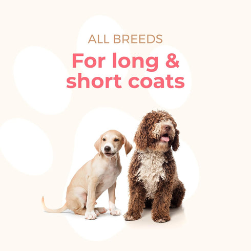 PAWFUME 2-in-1 Pet Brush - Dog & Cat Grooming Brush, Soft Brush for Long & Short Haired Pets