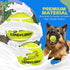 EXPAWLORER 12 Pack Tennis Toys for Dogs, 2.5 Inch Squeaky Balls for Aggressive Chewers, Perfect for All Dog Sizes