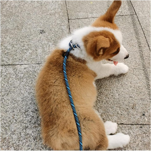 Reflective Long Dog Leash Slip Lead, No-Choking Rope Training Lead for Medium Dogs, Small Puppy Pets, Blue
