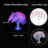 4 Pack Silicone Glowing Fish Tank Decorations, Simulation Glowing Coral Sea Anemone and Lotus Leaf for Aquarium