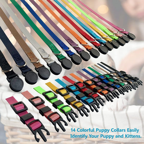 Puppy ID Collar, Adjustable Identification Collars for Newborn Pets, Super Soft Nylon, Breakaway Buckle