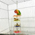 Bird Foraging Toys, Creative Parrot Feeder Box, Hanging Treat Foraging Toy for Parakeets, Cockatiel, Conure, Macaw