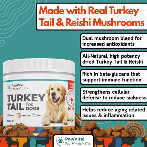 Immune 100% 90 Turkey Tail Mushroom for Dogs Gut Health & Support Supplement Natural Mushroom Blend with Reishi