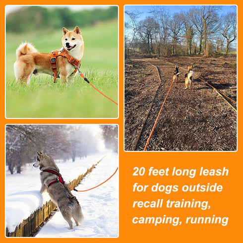 Vivifying Floating Long Dog Leash, 20FT Lightweight Training Leash with Comfortable Handle for Hiking, Swimming, Beach