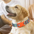 Dog Collar for Large Dogs, Adjustable with African Tribal Aztec Mexican Native Southwestern Boho Pattern for XS, Small,