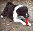 Super Gift 3 Pack Dog Toys for Aggressive Chewers, Teething Toys, Dog Treats Dispenser for Small and Medium Dogs