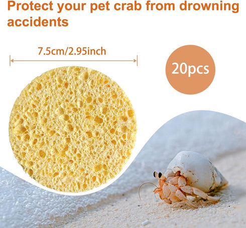 20 Pieces Hermit Crab Sponges, Real Sea Sponges in Yellow for Pet Hermit Crab Tank Humidity Supplies