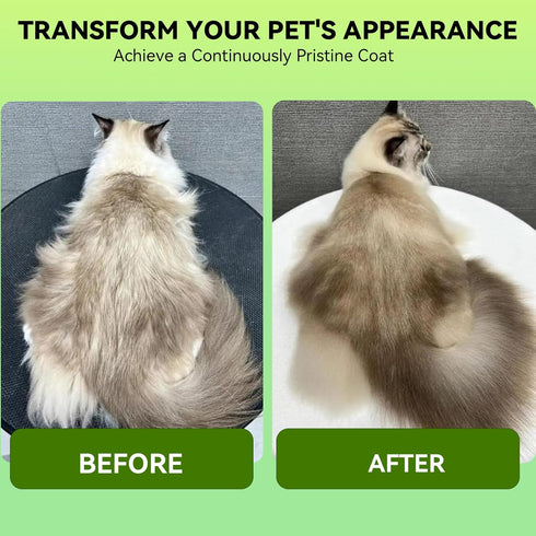 3-in-1 Pet Steam Brush, Spray Hair Removal Comb for Dog and Cat, Steam for Shedding and Grooming, Spritz Defur Comb