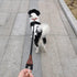 No Handle Dog Leash, 3FT / 6FT Tether Training Leash, Tie Down for Exercising, Bicycle and Outdoor Running Walking
