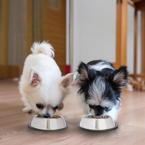 Iconic Pet Stainless Steel Non-Skid Pet Bowl, Rust Free and Odor Resistant for Dogs and Cats