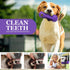 Dog Squeaky Toys for Aggressive Chewers, Durable Natural Rubber Toys for Large Medium Breed Dogs