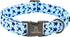 Lionheart Glory Dog Collar, Heavy Duty Adjustable Blue Collar for Medium Dogs, Pet Gift