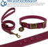 Wisedog Dog Collar and Leash Set Combo, Adjustable Pet Collars with Leashes for Small Medium Large Dogs