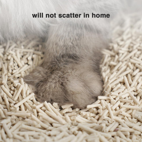 Cat Litter 24LB/4 Packs, Dust-Free Clumping Tofu Cat Litter, Quickly Absorb Odors, Pure Natural Cat Tofu Litter