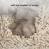 Cat Litter 24LB/4 Packs, Dust-Free Clumping Tofu Cat Litter, Quickly Absorb Odors, Pure Natural Cat Tofu Litter