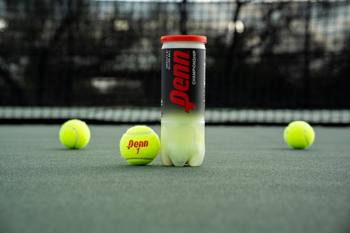 Penn Championship Regular Tennis Balls - Single Can