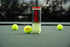 Penn Championship Regular Tennis Balls - Single Can