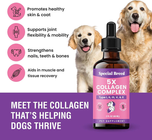 Immune 2oz Premium Collagen for Dogs - Liquid Support for Joints, Skin, Coat, Bone, System & HIPS - Collagen Supplement