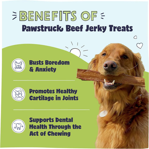Pawstruck Premium Beef Jerky Dog Treat Chews, Large 10" Strips, Supports Hip & Joint Health, 15 Count