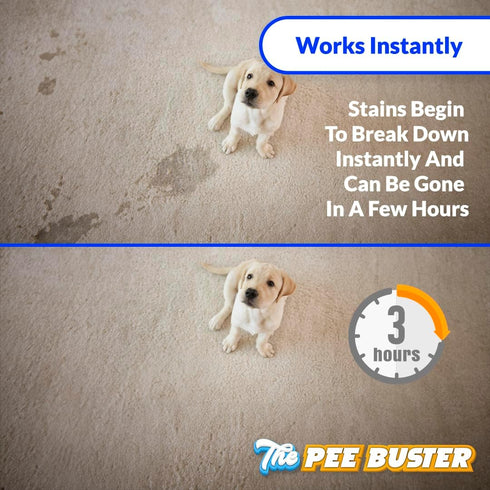 Generic 5 The Pee Buster Pet Stain Remover - Cleaning Spray for Dog and Cat Urine with Cleaning Tablets