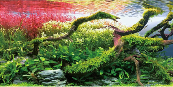 AWERT 48x18 inches Branches Fish Tank Background, Stone Seaweed Aquarium Background Vinyl.