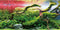 AWERT 48x18 inches Branches Fish Tank Background, Stone Seaweed Aquarium Background Vinyl.