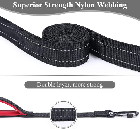 VIVAGLORY Dog Leash - Heavy Duty 4FT Nylon Lead with Aluminum Clasp & 2 Padded Handles, Black