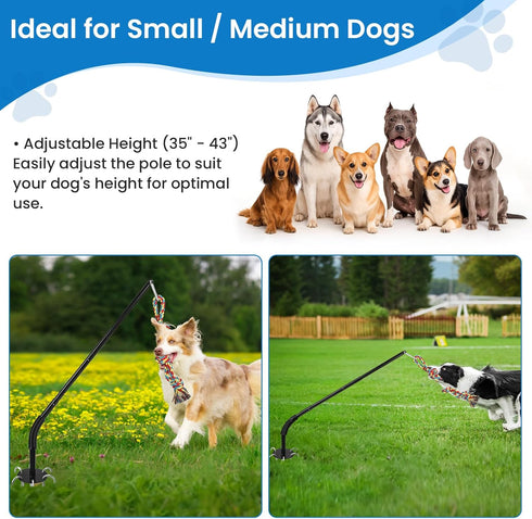 Tether Tug Outdoor Dog Toy - Interactive Tug of War Exercise Game for Yard & Park - Upgraded Metal Stake & Durable