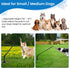 Tether Tug Outdoor Dog Toy - Interactive Tug of War Exercise Game for Yard & Park - Upgraded Metal Stake & Durable