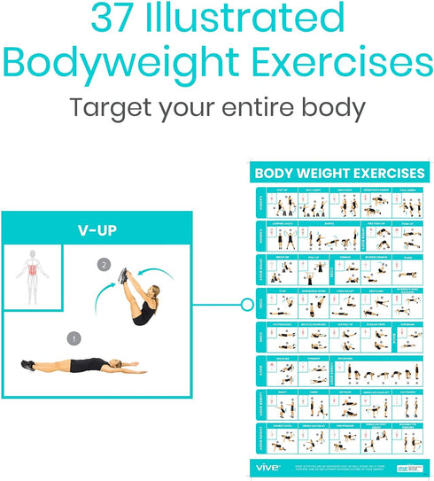 Vive Workout Posters (3 Pack) - Bodyweight, Yoga, Stretching Exercise Guide for Home Fitness, Laminated Illustrations