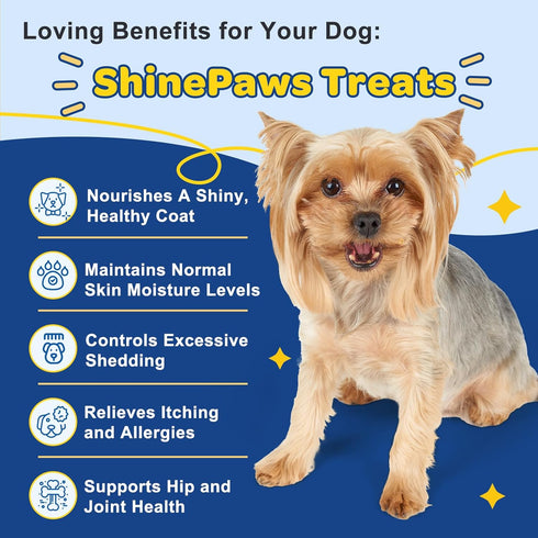 3 3 6 9 120ct Omega for Dogs, Salmon Fish Oil for Dogs Skin and Coat Chew with Omega (EPA+DHA), ZINC, BIOTIN