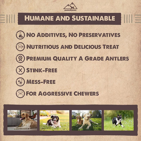 Premium All-Natural Grade A Split Elk Antlers for Dogs – Naturally Shed in The Rocky Mountains, Made in USA