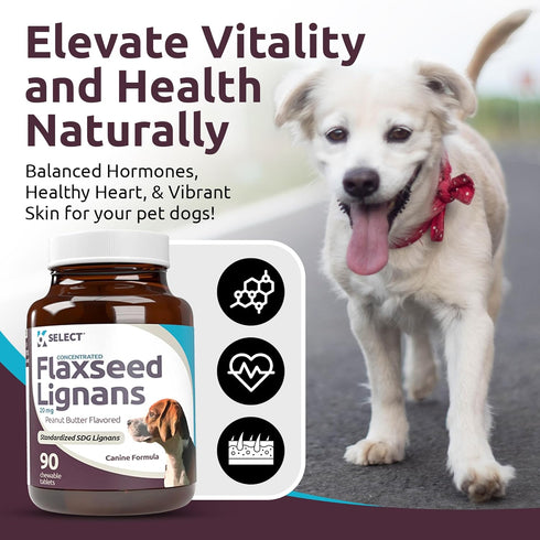 K9 Select Concentrated Flaxseed Lignans for Dogs, 20mg 90 Tablets, Peanut Butter Flavored Chewable
