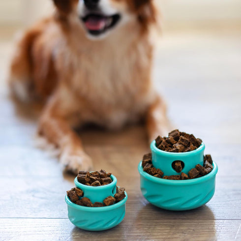 Messy Mutts Totally Pooched Puzzle 'n Play Mushroom (Small), Interactive Treat Puzzle Toy for Dogs, Durable Dog Toy