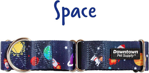 Downtown Pet Supply Martingale Collar for Dogs, Big Wide Thick Dog Training Collar, Escape-Proof, Space, Large